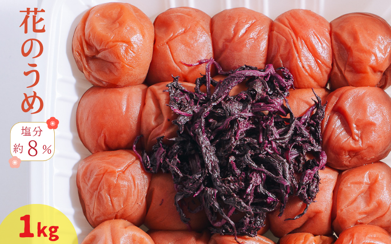 紀州南高梅花のうめ（しそ漬け） 1kg 塩分約8％ | 【梅干し しそ 梅 ギフト 和歌山県産】ngao007A