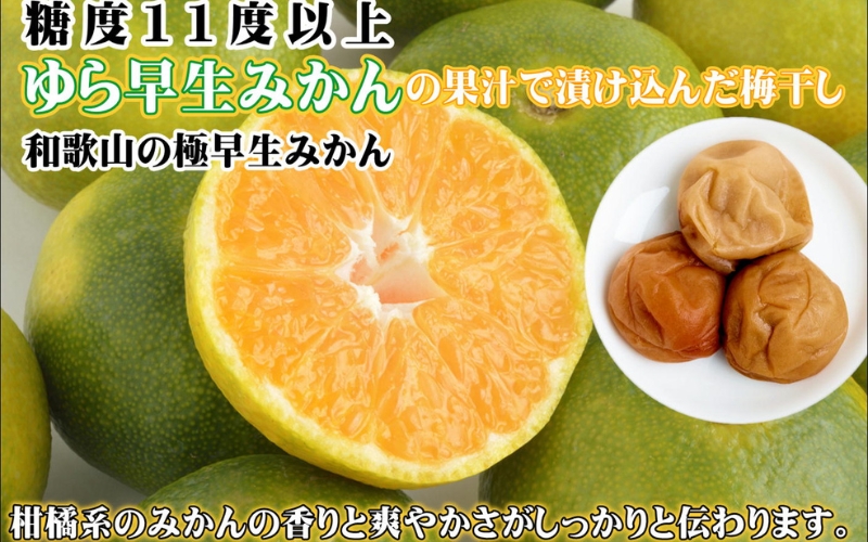 みかんこい梅　100g × 4個　塩分5％【yplu005C】