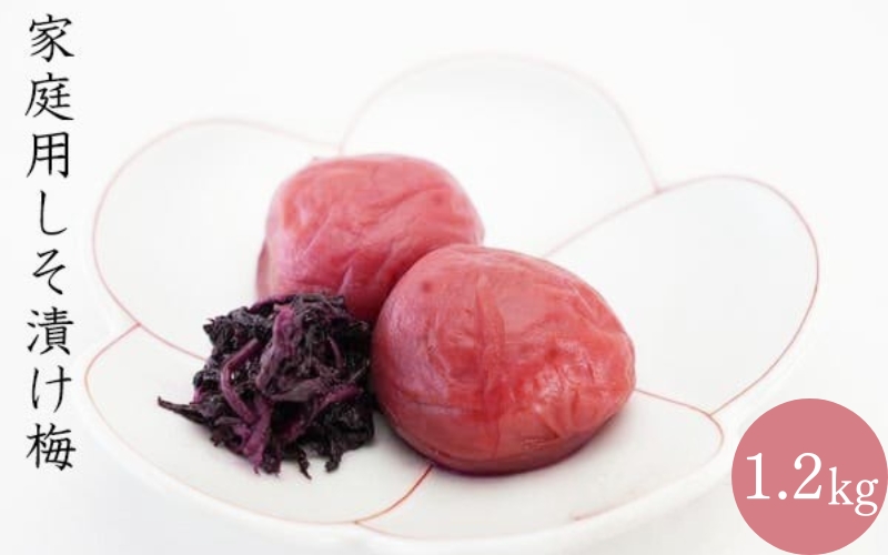 【家庭用】みなべの梅（しそ漬け）1.2kg 【baijuen004B】