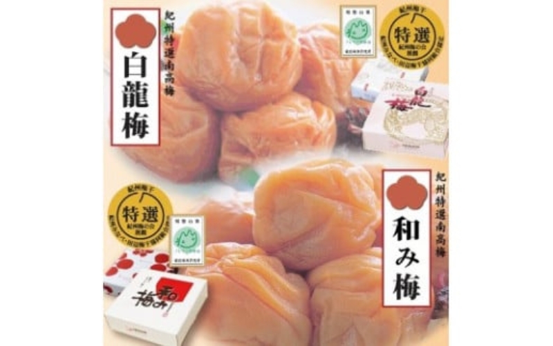 甘さ色々・梅干2品　yokosho003A