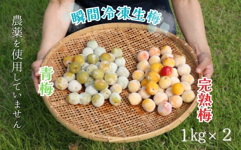 農薬を使用していない南高梅　青梅1kg、完熟梅1kg　trgk003A