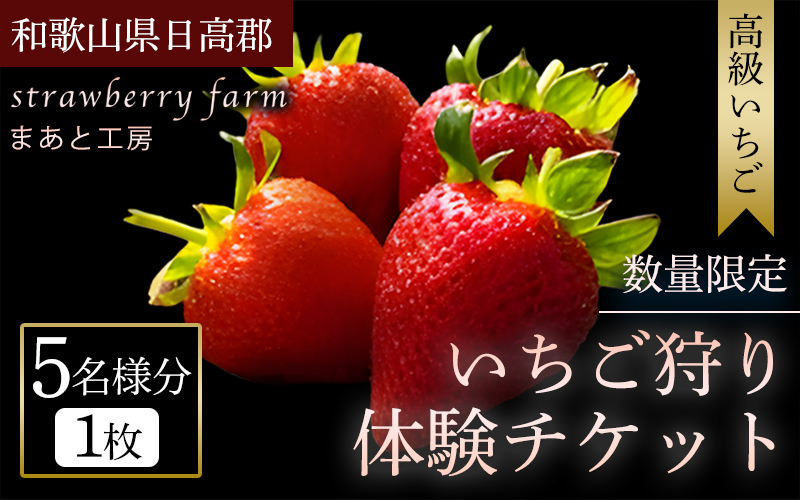 【体験】 【開催期間 2027年1月1日～5月7日】 オリジナルいちごと人気ブランドいちごの食べ比べ いちご狩り体験チケット ( 5名様分)【maato006】