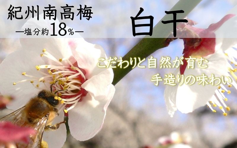紀州南高梅 白干 500g×2 塩分 約18% 　yamada012A