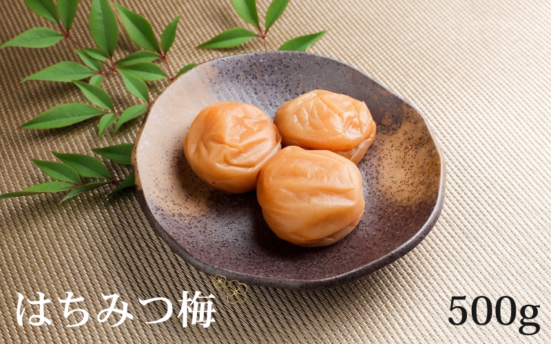 はちみつ入り梅　tkdkaen004A