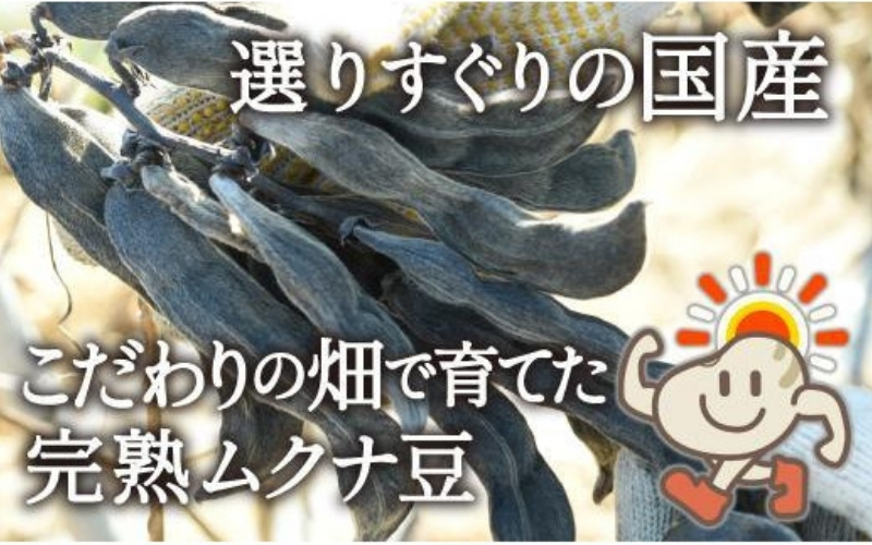 八升豆[国産ムクナ豆]粉末 300g×１袋【老舗生薬屋の八升豆】 【hoso013A】