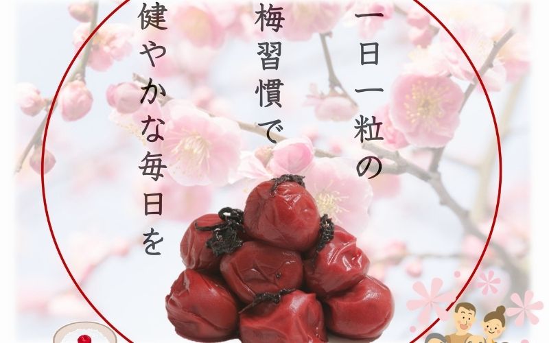 紀州南高梅 しそ 塩分約15％ 850g 　 yamada003A