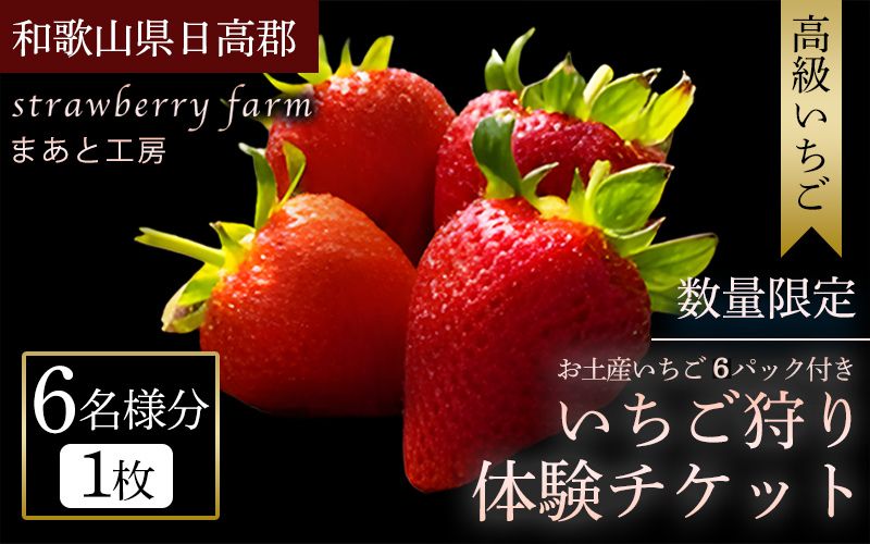 【体験】 【開催期間 2027年1月1日～5月7日】 オリジナルいちごと人気ブランドいちごの食べ比べ いちご狩り体験チケット ( 6名様分) ＋お土産いちご6パック付き【maato011】