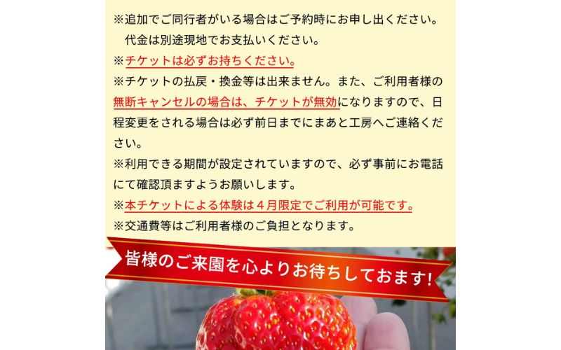 【体験】いちご狩り体験チケット ( 2名様分) ペアチケット 【maato002B】