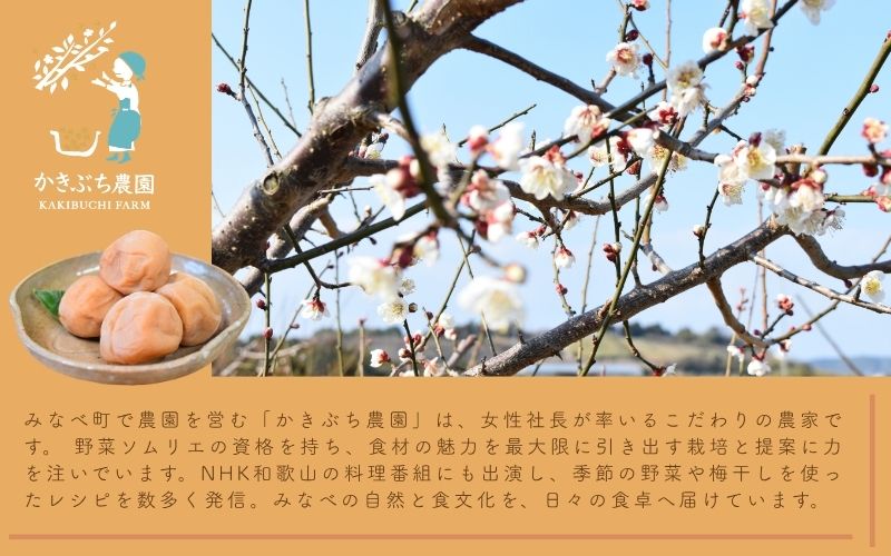 【藻塩仕込みの梅酢は数量限定】 野菜ソムリエ仕込み 梅酢・梅シロップセット 紀州南高梅使用 200ml×各1本 【kkbc003】