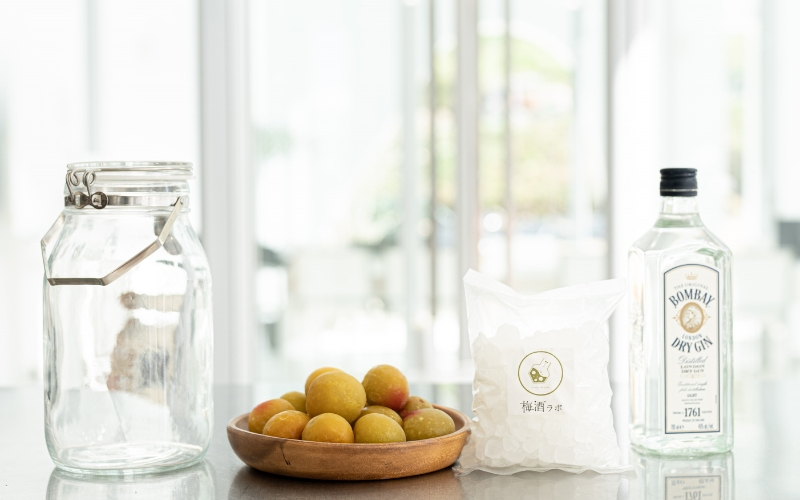 梅酒作成スタンダードキット（ジンベース）700ml 　  umslabo009A