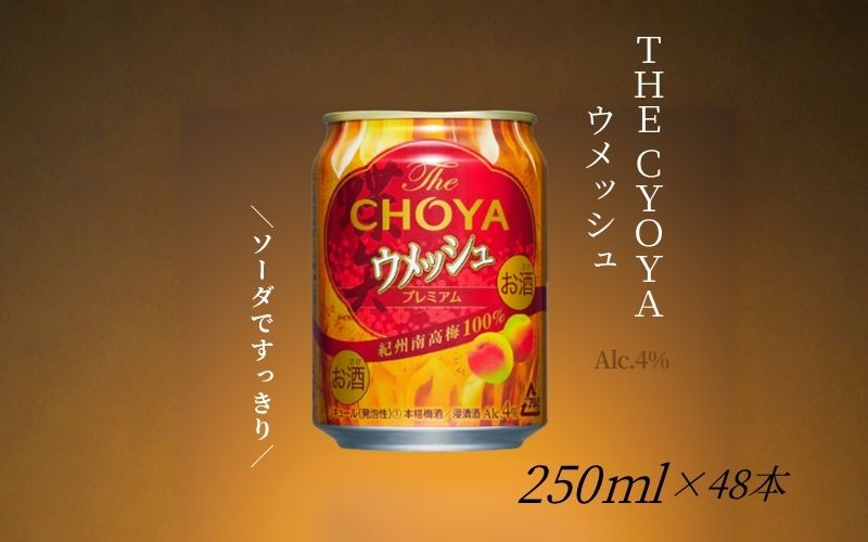 【本格梅酒】The CHOYA ウメッシュ 250ml×48本(2ケース)　プレミアムで濃厚な、本格梅酒のソーダ割り チョーヤ 【evg008】
