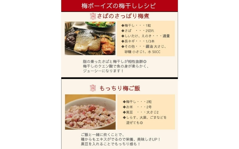 【最大３ヶ月待ち】【無添加梅干し】天日塩と紫蘇だけで漬けた梅干し | 梅干し 無添加 南高梅 梅ボーイズ うめひかり 天然塩 紫蘇 しそ ご飯のお供【umehkr002A】