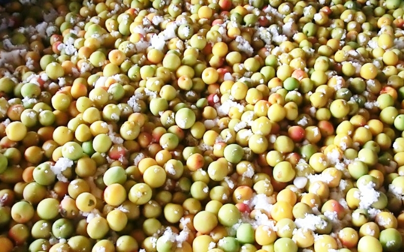 梅干し　富之助の南高梅白干し　900g / みなべ町 梅干し 梅干 白干梅 白梅 完熟 うめぼし 紀州南高梅 南高梅 昔ながら しょっぱい 懐かしい 塩分約19％ 贈答 贈り物 ギフト プレゼント 進物【sskn001】