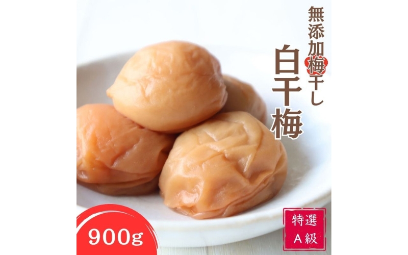 紀州南高梅 特選A級 無添加梅干し 白千梅　900g　kishusogo008B