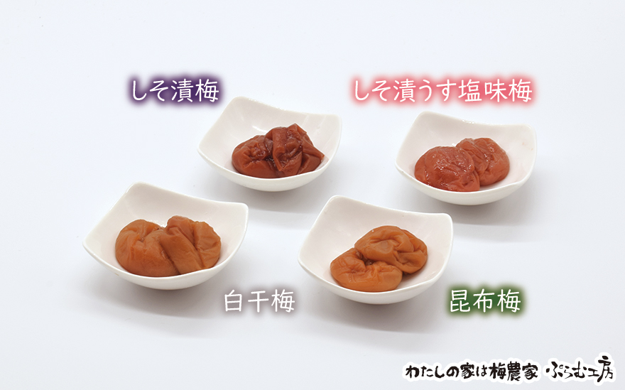 オリジナルおにぎり梅製作体験ペアチケット iwasho009A