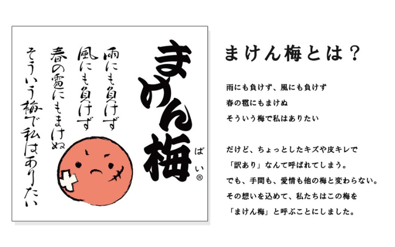 まけん梅(R) はちみつ漬 蜜宝梅 4kg(500g×8) 塩分約5％ 梅干し 紀州南高梅 nankiume004B