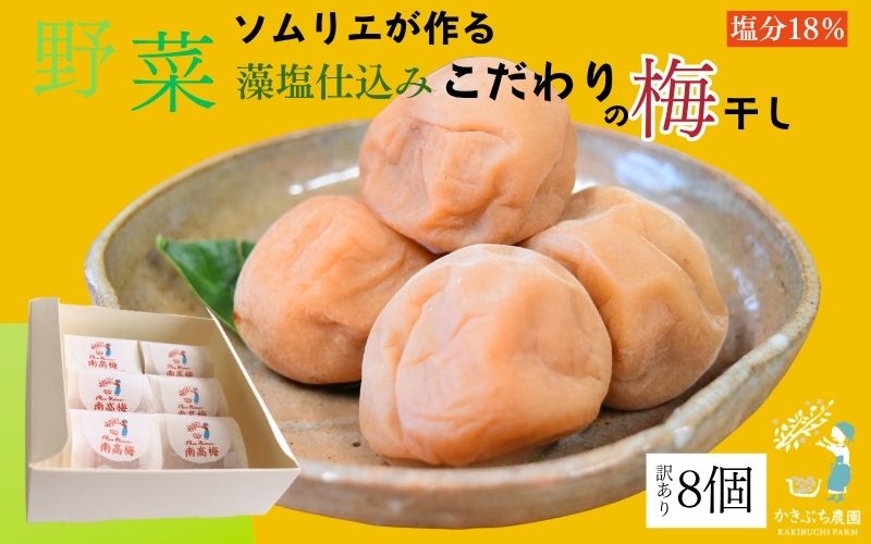 【塩分 18％】和歌山県 紀州南高梅 野菜ソムリエが作る藻塩仕込み こだわりの梅干し 訳あり ８個入り 【kkbc002】