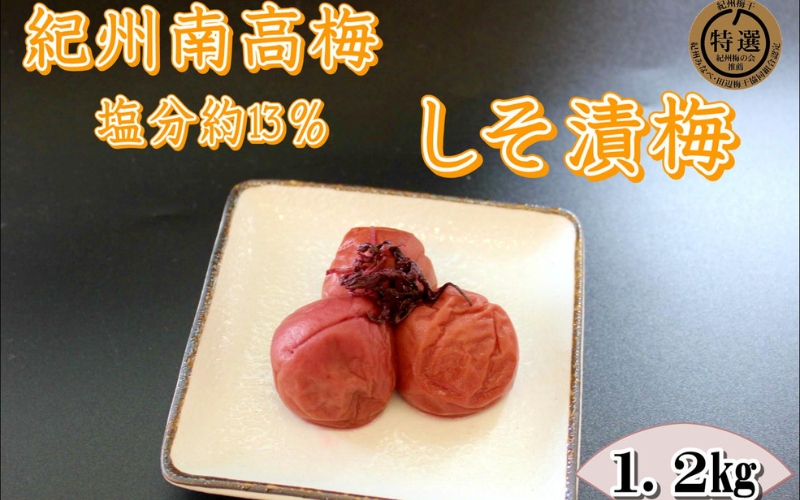 紀州南高梅 しそ漬梅干 1.2kg 塩分13%[yplu012B]