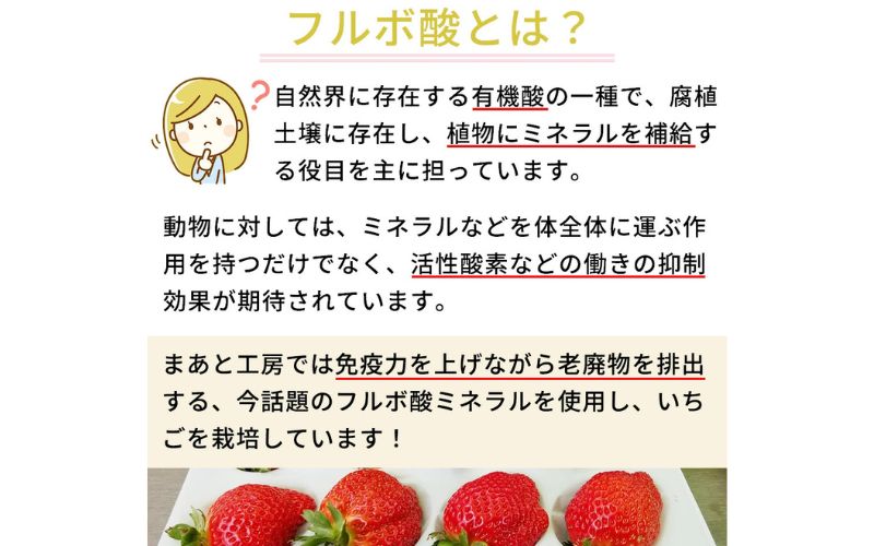 【体験】いちご狩り体験チケット ( 2名様分) ペアチケット 【maato002B】