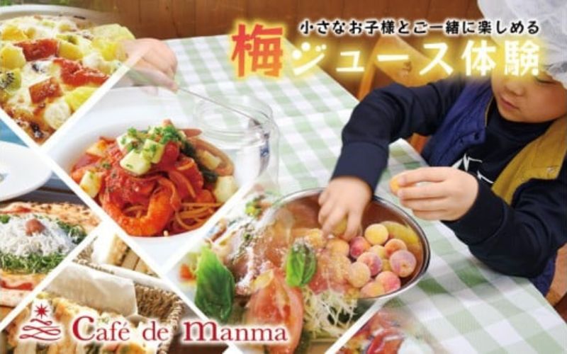 カフェドマンマ食事券1500円分＆梅ジュースづくり体験チケット  iwasho012A