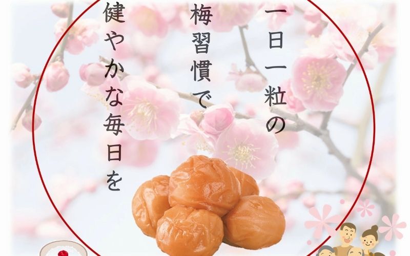 縺泌ョカ蠎ュ逕ィ 螟ァ螳ケ驥 邏蟾槫漉鬮俶「 縺、縺カ繧梧「 縲縺縺吝。ゥ縺、縺カ繧(蝪ゥ蛻邏6%)縺ィ縺励◎貍ャ縺、縺カ繧(蝪ゥ蛻邏15%)縺ョ隧ー蜷医○蜷700g縲 yamada007A