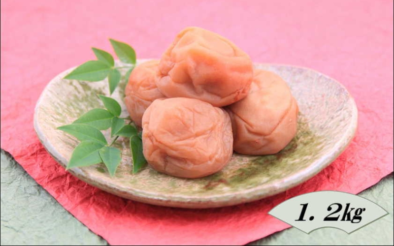 紀州南高梅 白干梅 1.2kg 塩分20%[yplu014B]