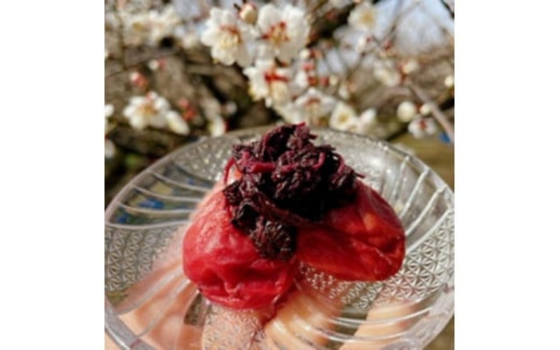 【ちょうどいい塩梅】愛ちゃんの紫蘇漬 600g aisu002A