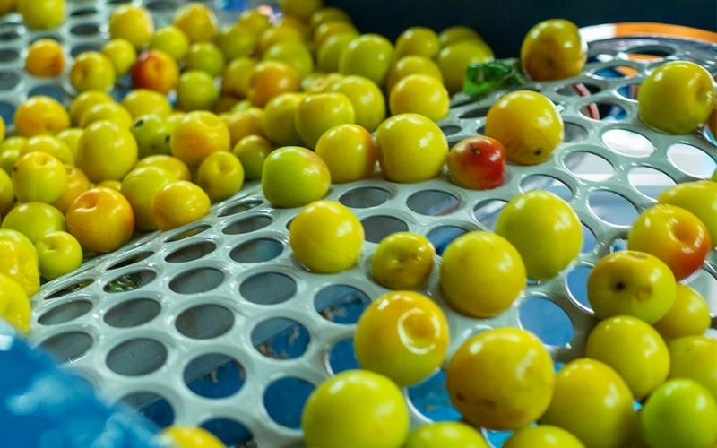 にごり梅酒　720ml　azmn002A