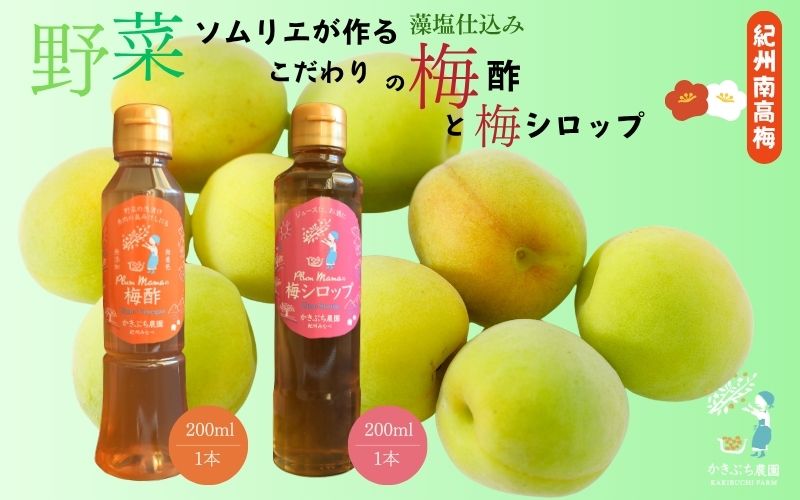 【藻塩仕込みの梅酢は数量限定】 野菜ソムリエ仕込み 梅酢・梅シロップセット 紀州南高梅使用 200ml×各1本 【kkbc003】
