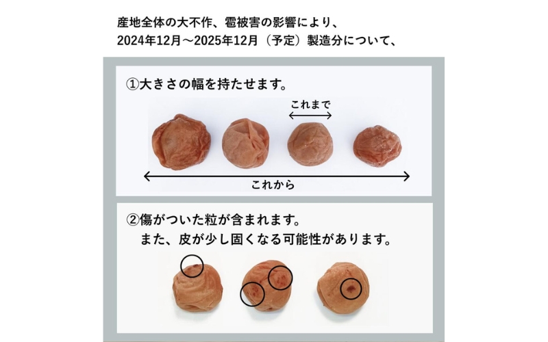 ãæå€§ïŒã¶æåŸ
ã¡ããç¡æ·»å æ¢
å¹²ãã倩æ¥å¡©ã ãã§æŒ¬ããæ¢
å¹²ã1kgÃ2ããã¯/ å髿¢
æ¢
ããŒã€ãº ããã²ãããumehkr006Aã