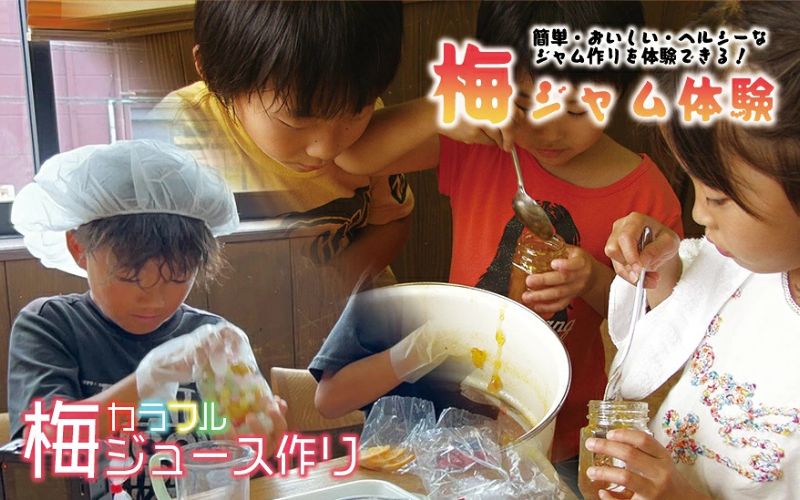 カラフル梅ジュース＆梅ジャムづくり体験チケット  【iwasho004A】