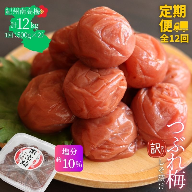 【定期便全12回】【塩分約10％】和歌山県紀州南高梅つぶれ  しそ漬け 訳あり 500g×2 【agrjpn-tkb009】