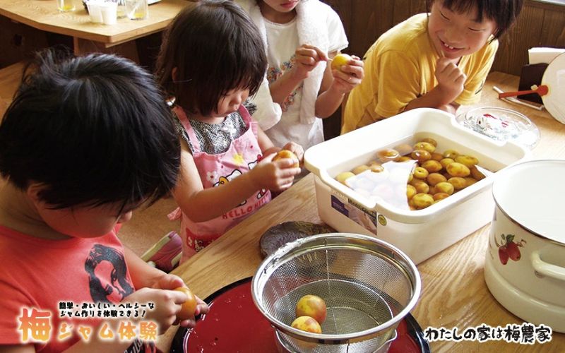 カフェドマンマ食事券1500円分＆梅ジャムづくり体験チケット  iwasho006A