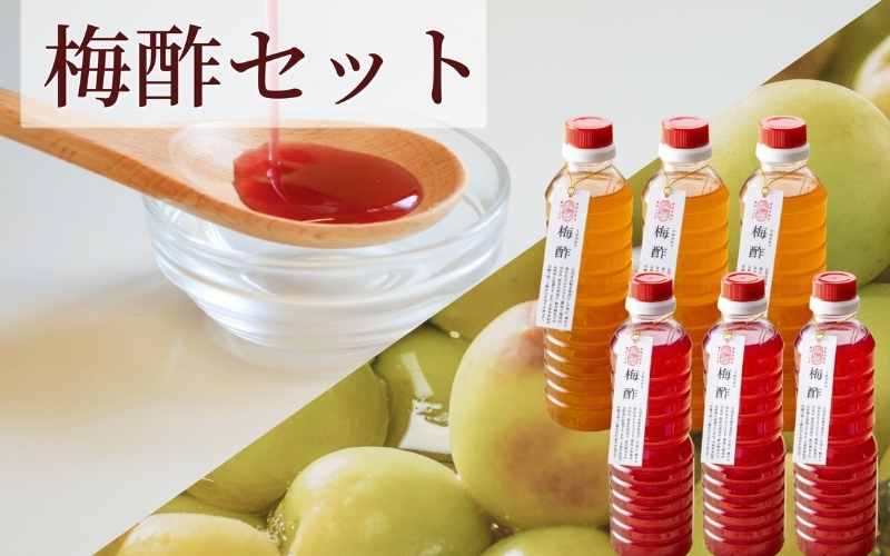 【梅ボーイズ】無添加 紀州南高梅の梅酢500ml×6本セット（白・紫蘇）天日塩使用 umehkr024