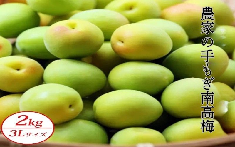 【青梅】農家の手もぎ南高梅2kg（3Lサイズ） 【sakachu004A】