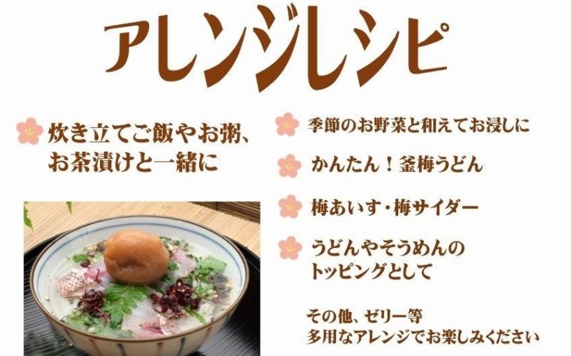 紀州南高梅 白干 500g×2 塩分 約18% 　yamada012A