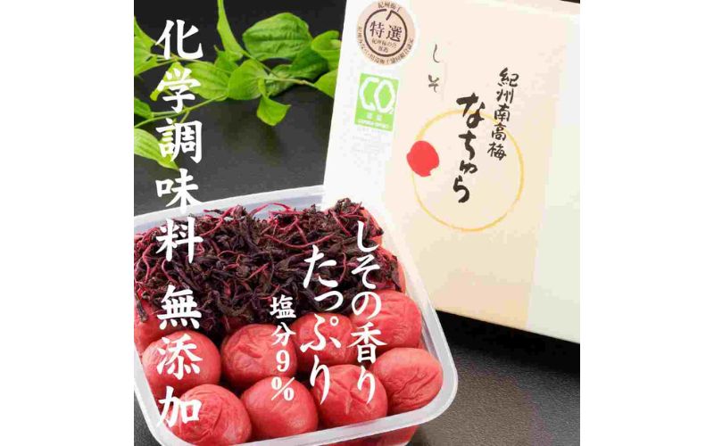 紀州産南高梅 なちゅら しそ漬 300g 塩分9％ tnht003A