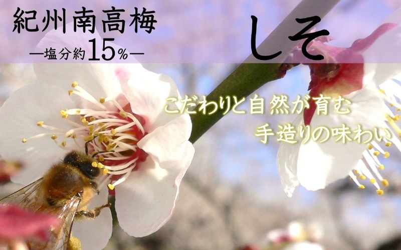 紀州南高梅 しそ 塩分約15％ 850g 　 yamada003A