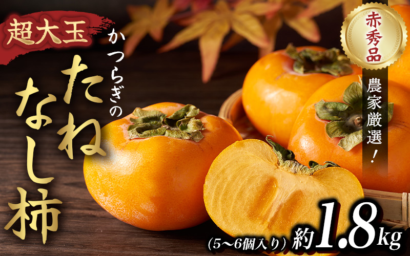 【先行予約】柿 種無し 赤秀品 超大玉 約1.8kg 5〜6個 【2026年9月下旬から10月下旬頃発送】｜柿 果物 フルーツ 赤秀品 超大玉 【BK004-kgr003A】