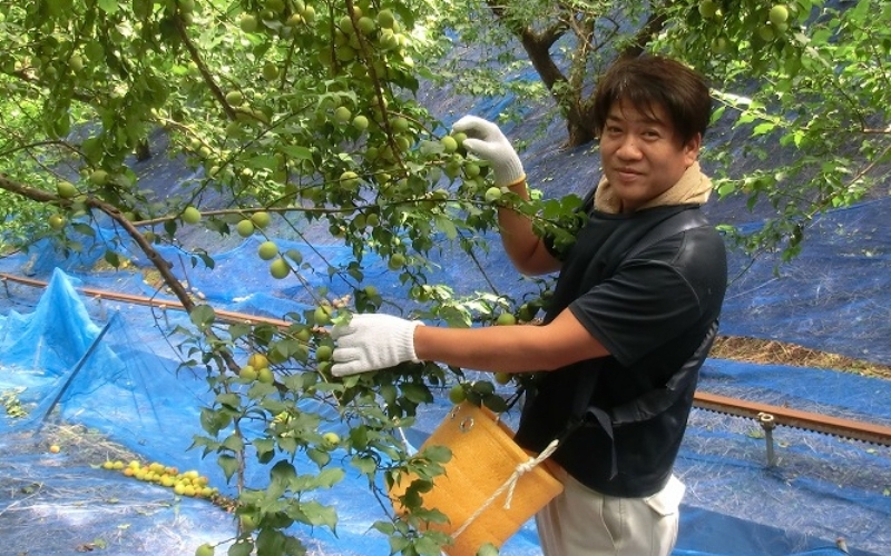 å¯ä¹å©ã®ããŸããã12åå
¥ã / ã¿ãªã¹çº æ¢
æ¢
ã¹ã€ãŒã ãã¶ãŒã ãèå ãè¶ãã å®ç çŽå·å髿¢
å髿¢
å¡©å0ïŒ
å¡©åãŒã ç¡å¡© èŽç èŽãç© ã®ãã ãã¬ãŒã³ã é²ç©ãsskn008ã