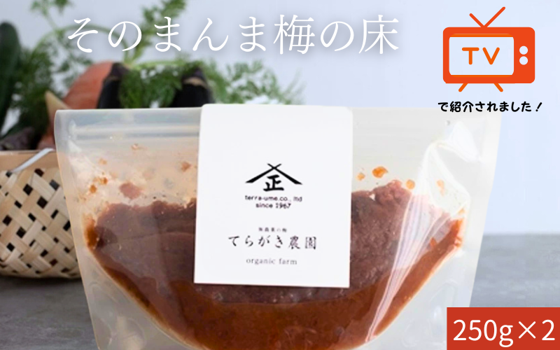 そのまんま梅の床・てんさい糖 250g×2 trgk001A