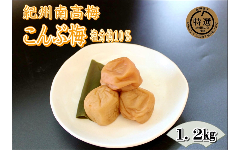 紀州南高梅 昆布梅 1.2kg 塩分 10%[yplu010B]