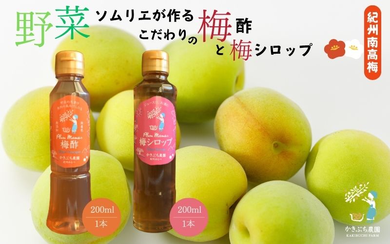  野菜ソムリエ仕込み 梅酢・梅シロップセット 紀州南高梅使用 200ml×各1本 【kkbc004】