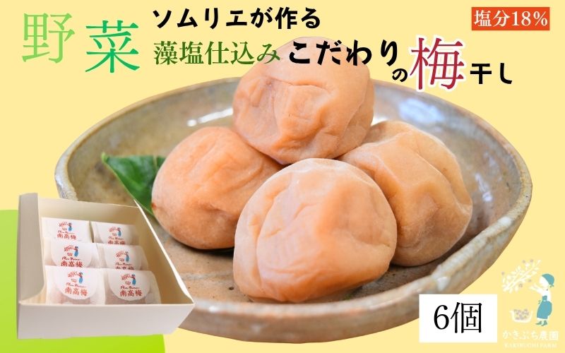 【塩分 18％】和歌山県 紀州南高梅 野菜ソムリエが作る藻塩仕込み こだわりの梅干し 6個入り　【kkbc001】