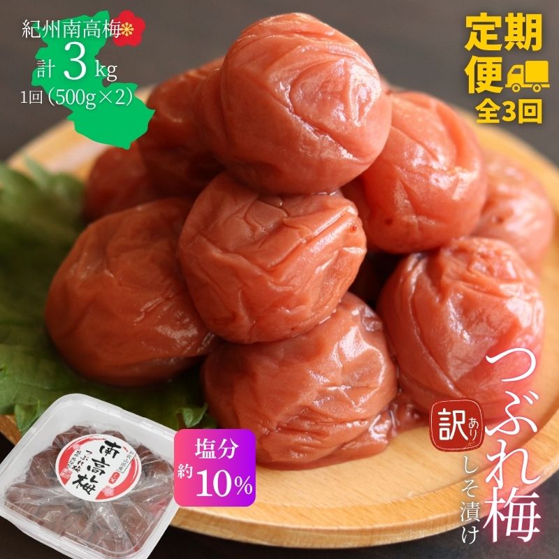 【定期便全3回】【塩分約10％】和歌山県紀州南高梅つぶれ  しそ漬け 訳あり 500g×2 【agrjpn-tkb007】