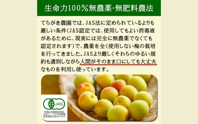 完熟梅エキス 50g 南高梅使用 trgk002A