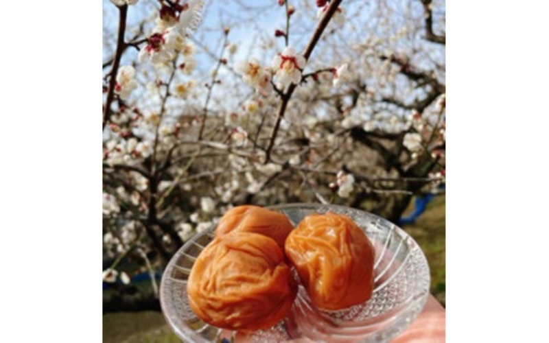 【甘くてフルーティー】愛ちゃんの田舎漬 600g aisu003A