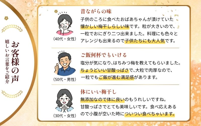 紀州南高梅 白干し500g /塩分：約18％ 【jke001】