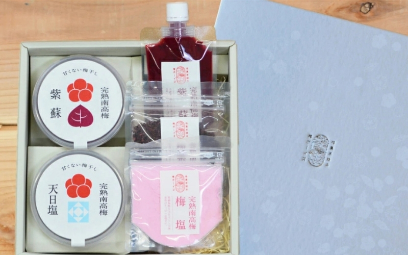 【身体を想う無添加ギフト】紀州南高梅 人気の梅干し詰め合わせ 梅ボーイズ　umehkr012A