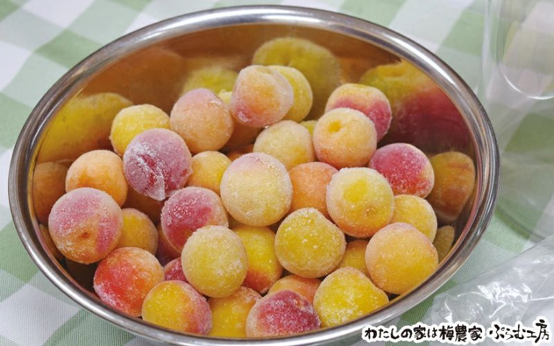 梅ジュースづくり体験ペアチケット iwasho014A